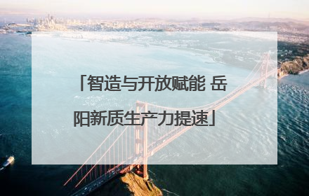 智造与开放赋能 岳阳新质生产力提速