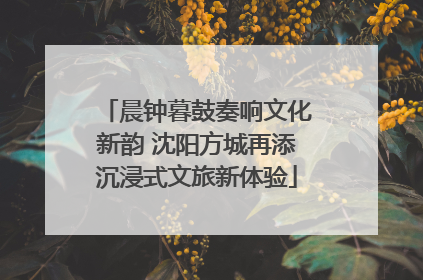 晨钟暮鼓奏响文化新韵 沈阳方城再添沉浸式文旅新体验