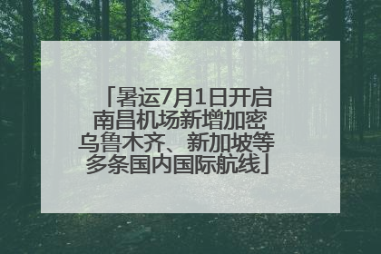 暑运7月1日开启 南昌机场新增加密乌鲁木齐、新加坡等多条国内国际航线