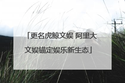 更名虎鲸文娱 阿里大文娱锚定娱乐新生态