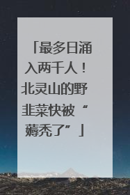 最多日涌入两千人！北灵山的野韭菜快被“薅秃了”