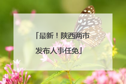 最新！陕西两市发布人事任免