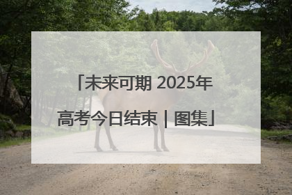 未来可期 2025年高考今日结束｜图集