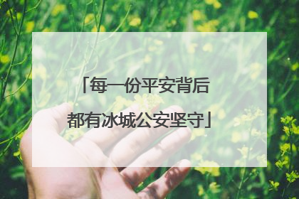 每一份平安背后 都有冰城公安坚守