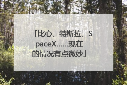 比心、特斯拉、SpaceX……现在的情况有点微妙