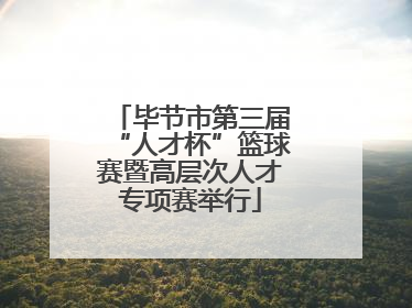毕节市第三届“人才杯”篮球赛暨高层次人才专项赛举行