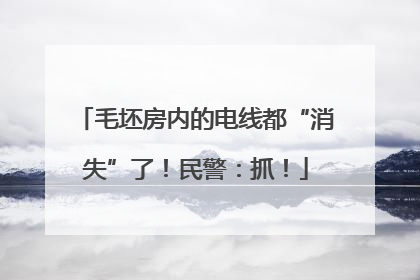 毛坯房内的电线都“消失”了！民警：抓！