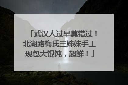 武汉人过早莫错过！北湖路梅氏三姊妹手工现包大馄饨，超鲜！