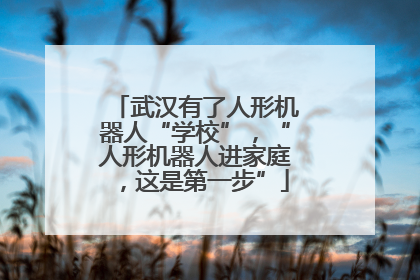 武汉有了人形机器人“学校”，“人形机器人进家庭，这是第一步”