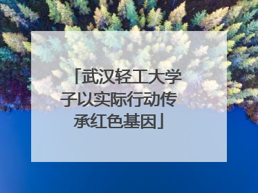 武汉轻工大学子以实际行动传承红色基因
