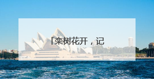 栾树花开，记录夏日浪漫