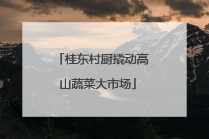 桂东村厨撬动高山蔬菜大市场