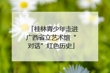 桂林青少年走进广西省立艺术馆“对话”红色历史