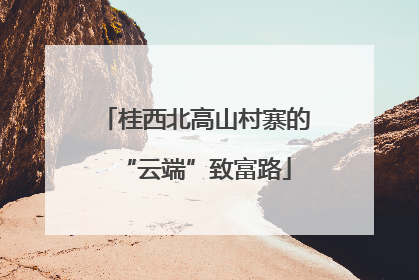 桂西北高山村寨的“云端”致富路