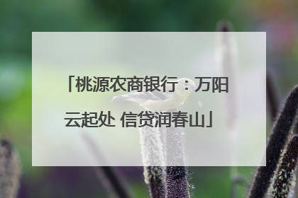 桃源农商银行：万阳云起处 信贷润春山