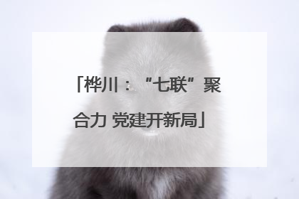 桦川：“七联”聚合力 党建开新局