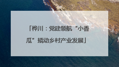 桦川：党建领航“小香瓜”撬动乡村产业发展
