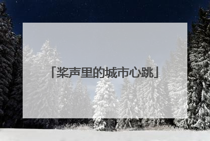 桨声里的城市心跳