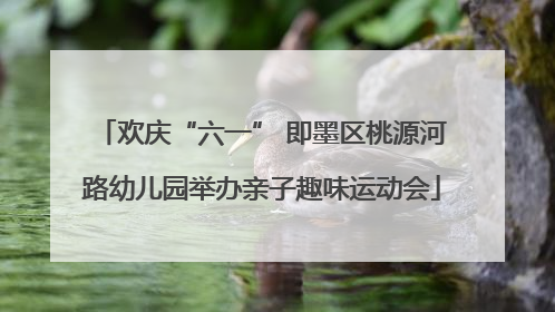 欢庆“六一” 即墨区桃源河路幼儿园举办亲子趣味运动会