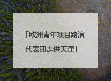 欧洲青年项目路演代表团走进天津