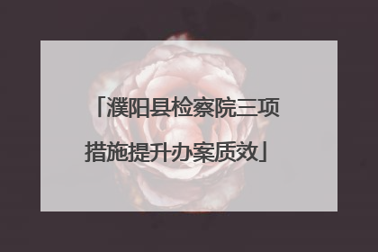 濮阳县检察院三项措施提升办案质效