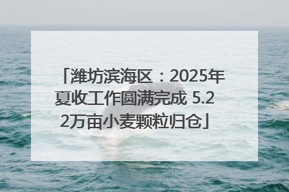 潍坊滨海区：2025年夏收工作圆满完成 5.22万亩小麦颗粒归仓