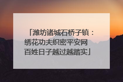 潍坊诸城石桥子镇：绣花功夫织密平安网 百姓日子越过越踏实