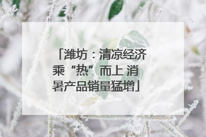 潍坊：清凉经济乘“热”而上 消暑产品销量猛增