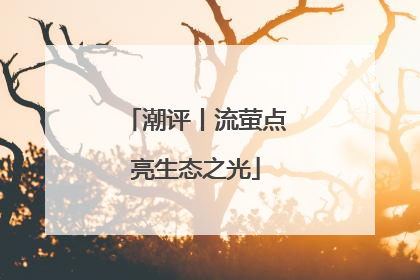 潮评丨流萤点亮生态之光