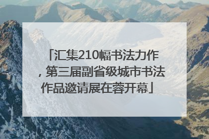 汇集210幅书法力作，第三届副省级城市书法作品邀请展在蓉开幕