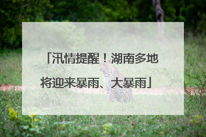 汛情提醒！湖南多地将迎来暴雨、大暴雨
