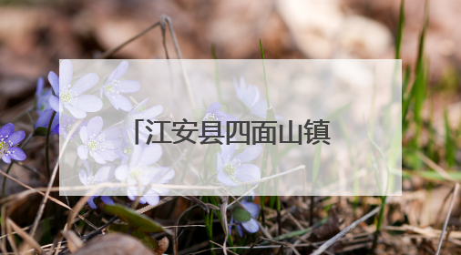 江安县四面山镇龙虾啤酒美食文化周启幕 每日推出百桌龙虾宴