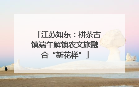江苏如东：栟茶古镇端午解锁农文旅融合“新花样”