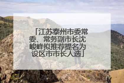 江苏泰州市委常委、常务副市长沈峻峰拟推荐提名为设区市市长人选