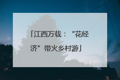 江西万载：“花经济”带火乡村游