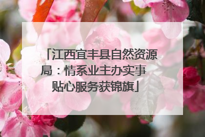 江西宜丰县自然资源局：情系业主办实事 贴心服务获锦旗