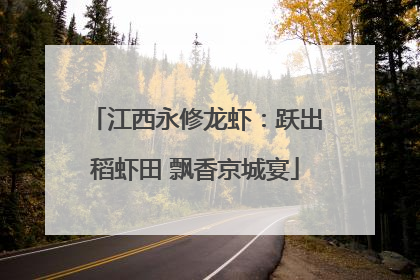 江西永修龙虾：跃出稻虾田 飘香京城宴