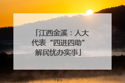 江西金溪：人大代表“四进四助”解民忧办实事