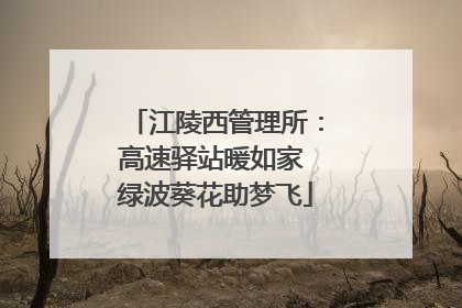 江陵西管理所：高速驿站暖如家 绿波葵花助梦飞