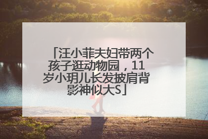 汪小菲夫妇带两个孩子逛动物园，11岁小玥儿长发披肩背影神似大S