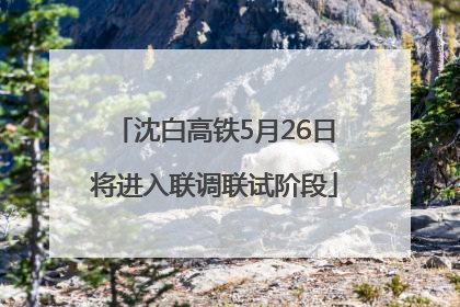 沈白高铁5月26日将进入联调联试阶段