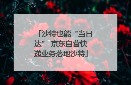 沙特也能“当日达” 京东自营快递业务落地沙特