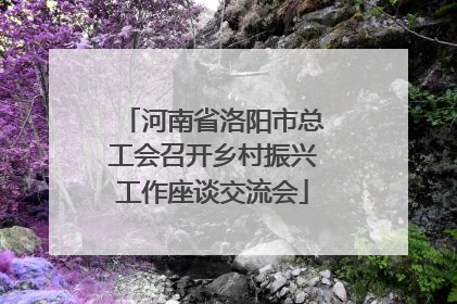 河南省洛阳市总工会召开乡村振兴工作座谈交流会