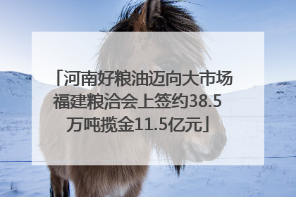河南好粮油迈向大市场 福建粮洽会上签约38.5万吨揽金11.5亿元