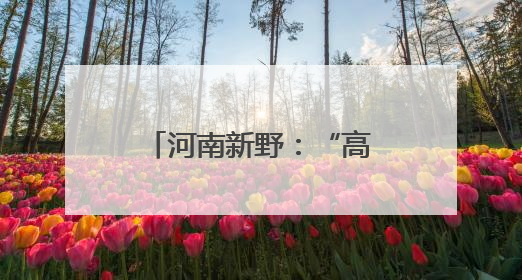 河南新野：“高效办成一件事”解锁办事新体验