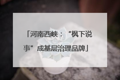 河南西峡：“枫下说事”成基层治理品牌