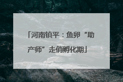 河南镇平：鱼卵“助产师”走俏孵化期