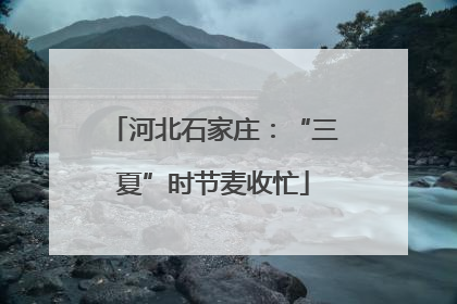 河北石家庄：“三夏”时节麦收忙