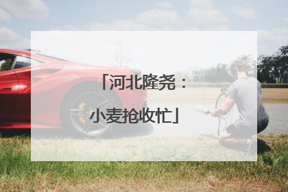 河北隆尧：小麦抢收忙