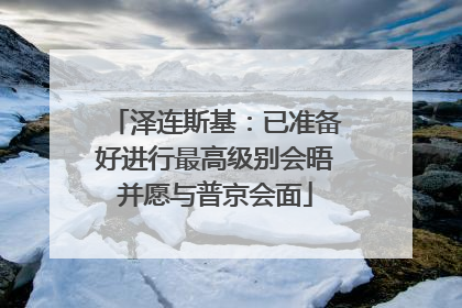 泽连斯基：已准备好进行最高级别会晤并愿与普京会面